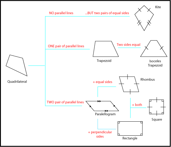 Quadrilateral Properties